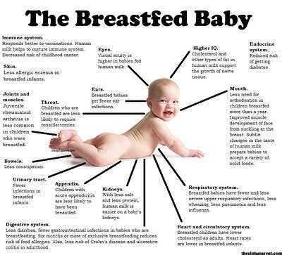 Ive breastfed my baby for 8 months yet my boobs look good on。